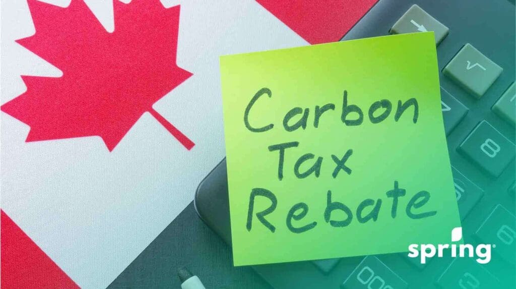 Carbon tax rebate payment dates
